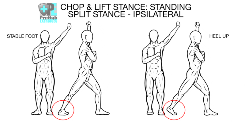 Chop And Lift Progressions For Stability And Integration Prehab
